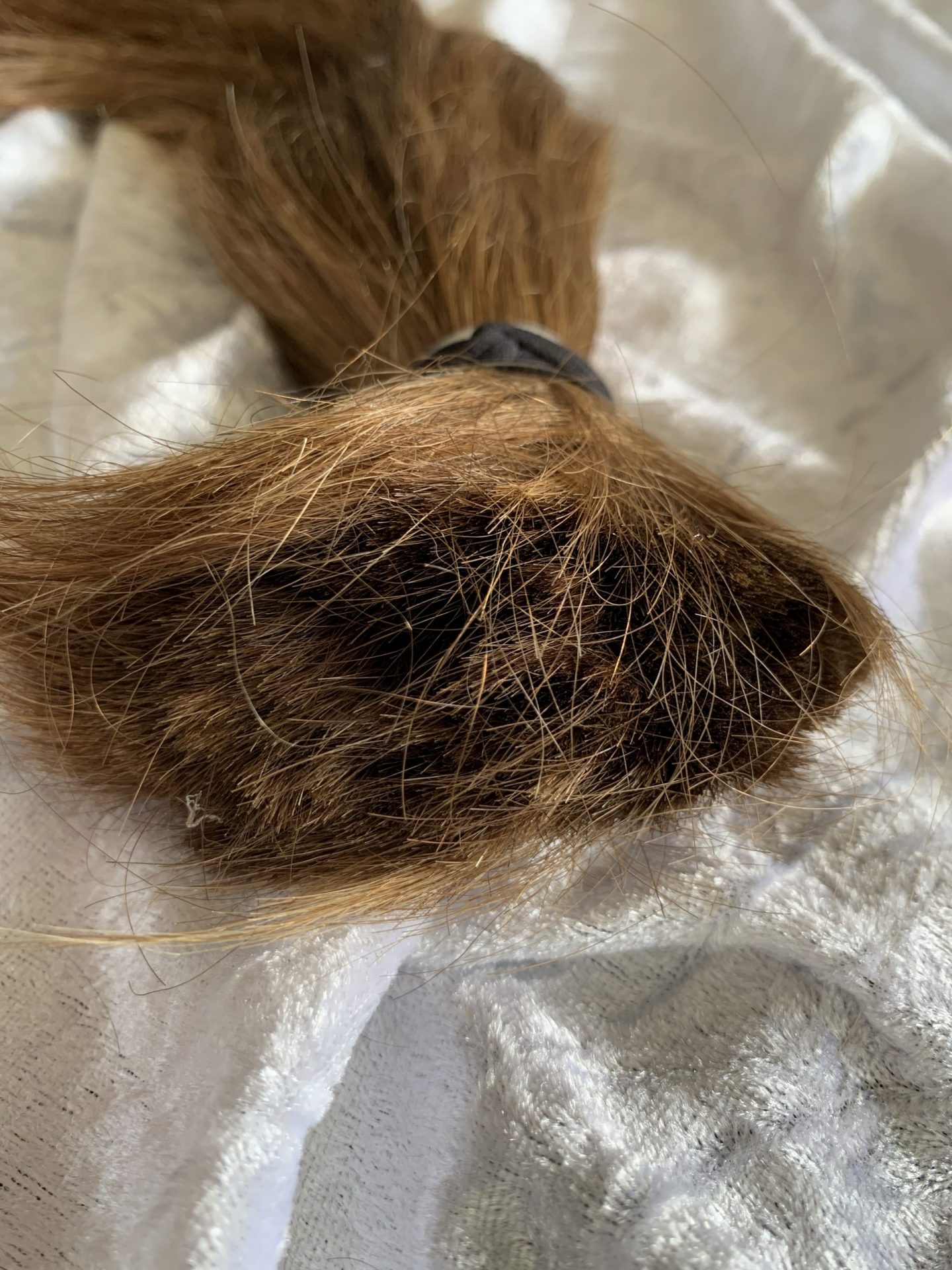 039E9B88-26D1-4CCE-AC4E-23812B5943D8