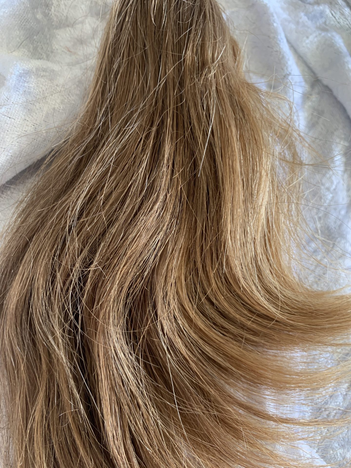 21490BC1-4A97-49FF-A433-39E9DC4CC822