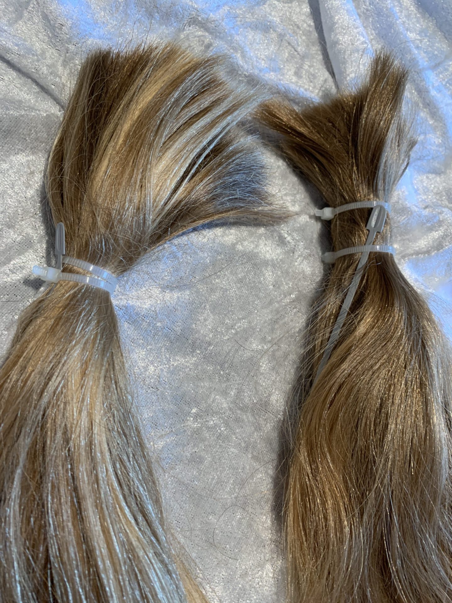 21ACAA28-3E07-4F82-9BF2-4865032DFBC0