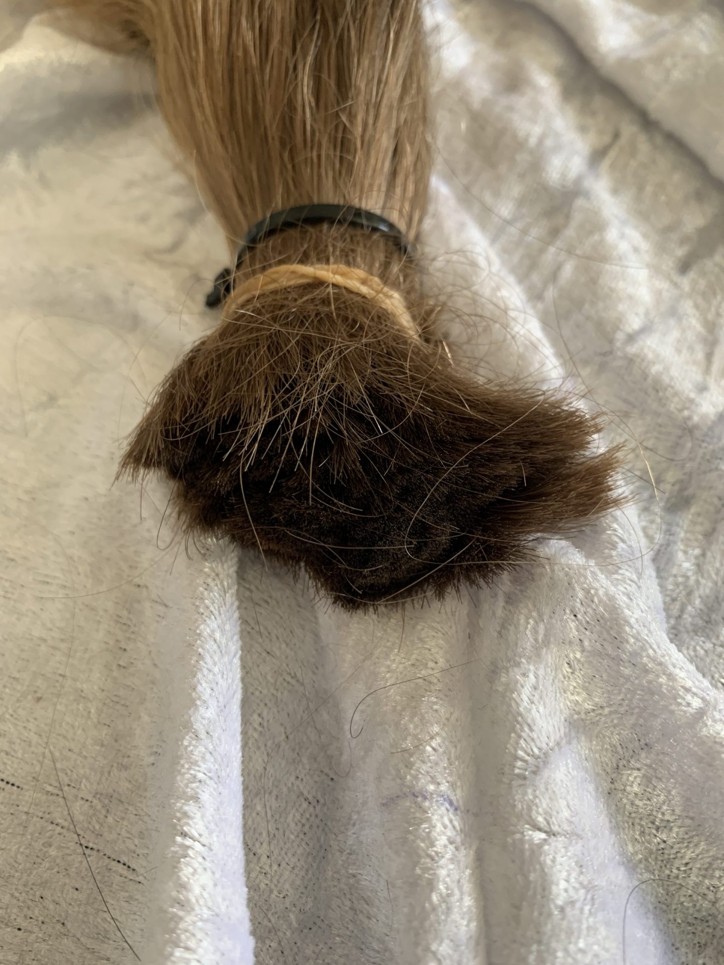 22B49AFB-9186-47C5-95BE-78E52C645D70