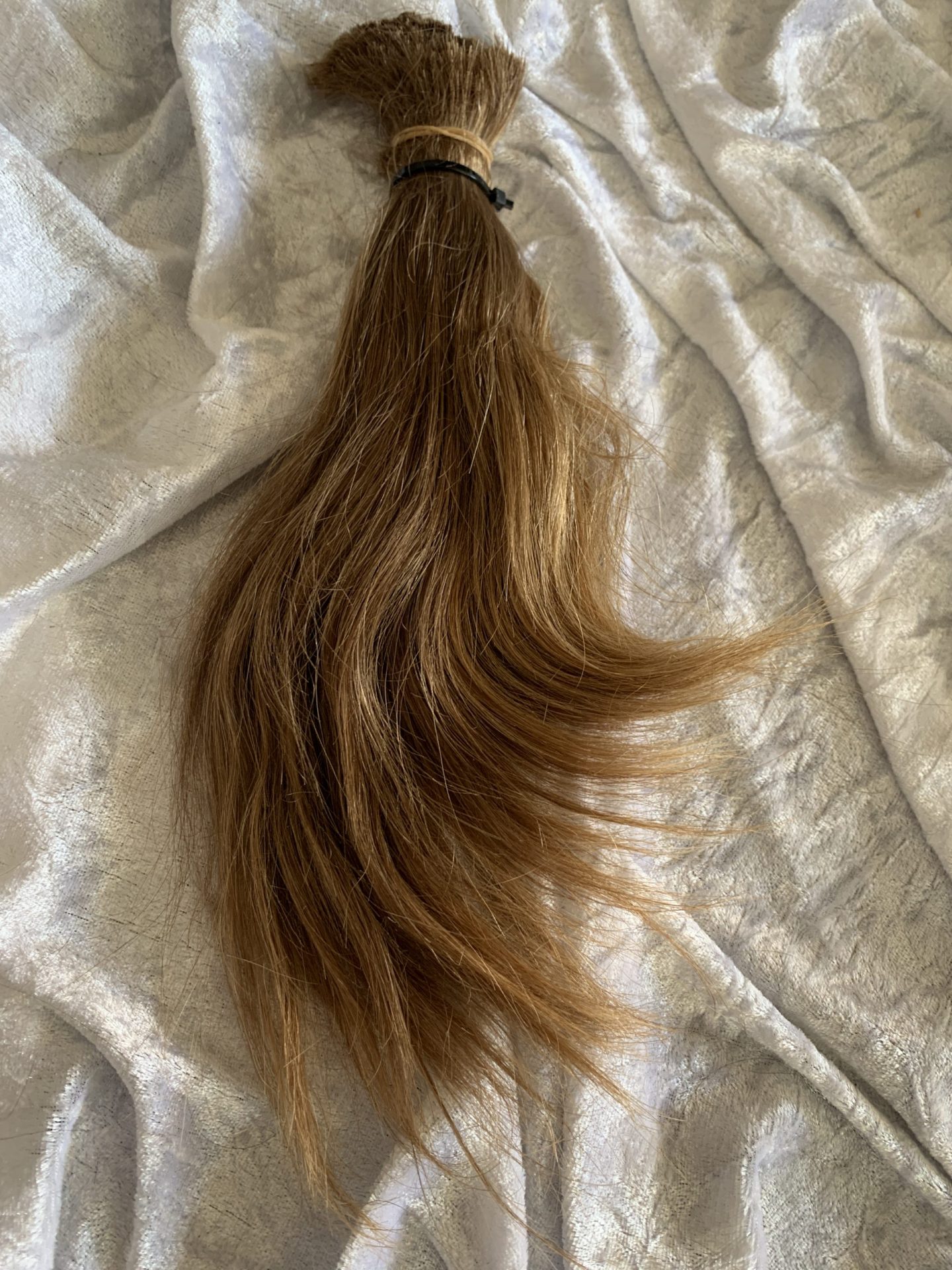 2500D462-292D-459F-88D1-DBD4DA37E704