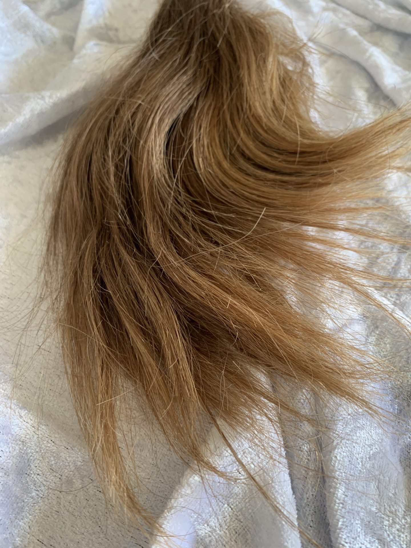 27054211-3F6C-4B86-9644-1846C240005A