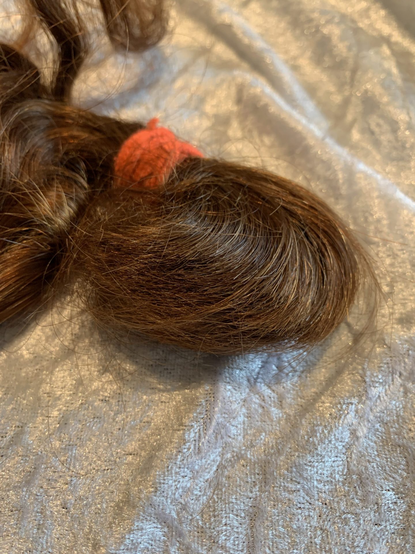 3E4D39AA-13F8-4386-8CBF-1B33BF9FEEAE