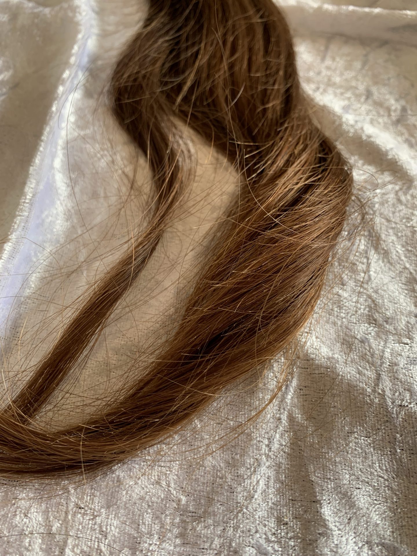 59420C3A-B7BC-4ACB-A3AF-3727BDD85230