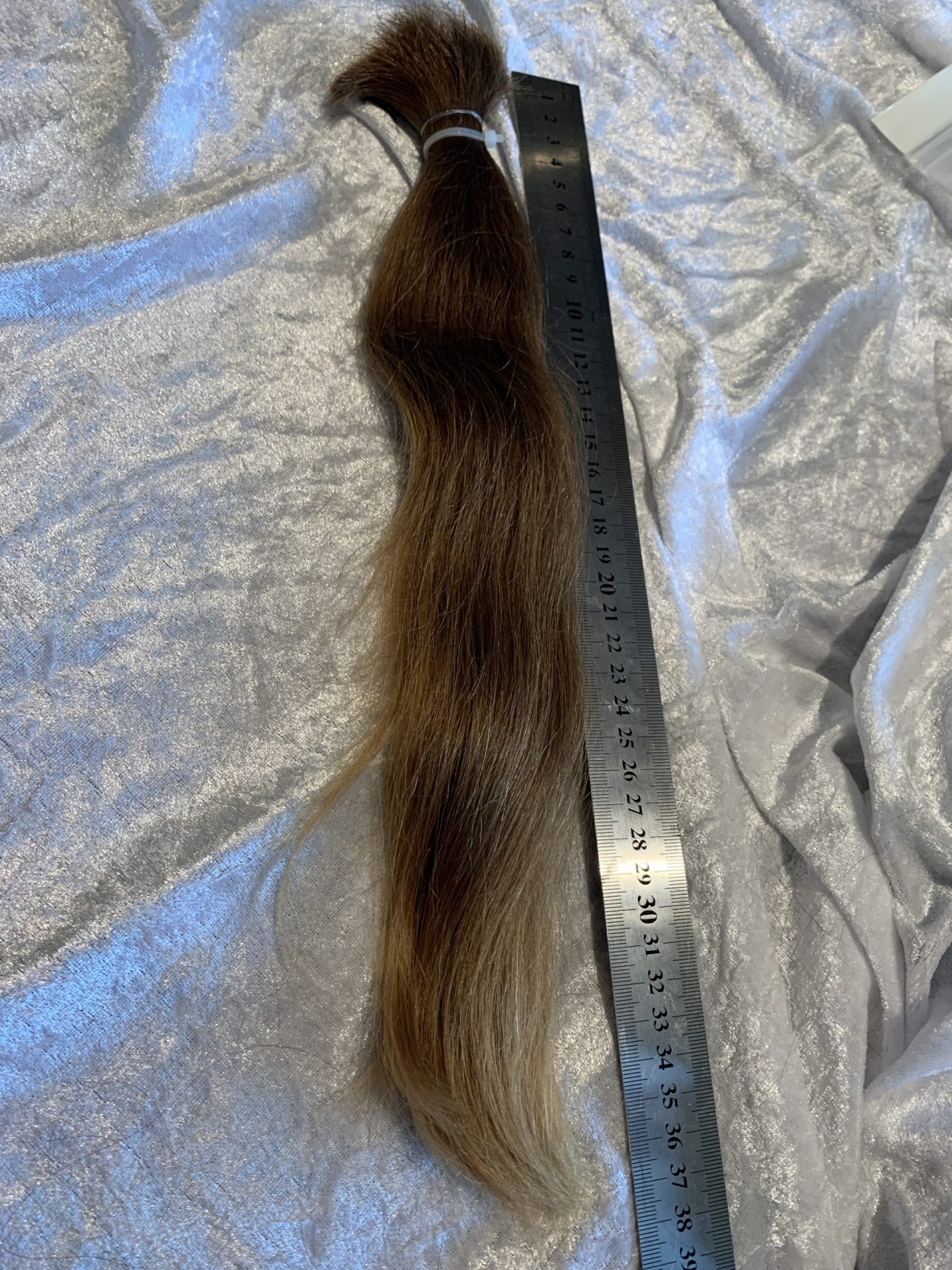 5A93129F-EEEB-464D-BA4D-E1A6D8C84193