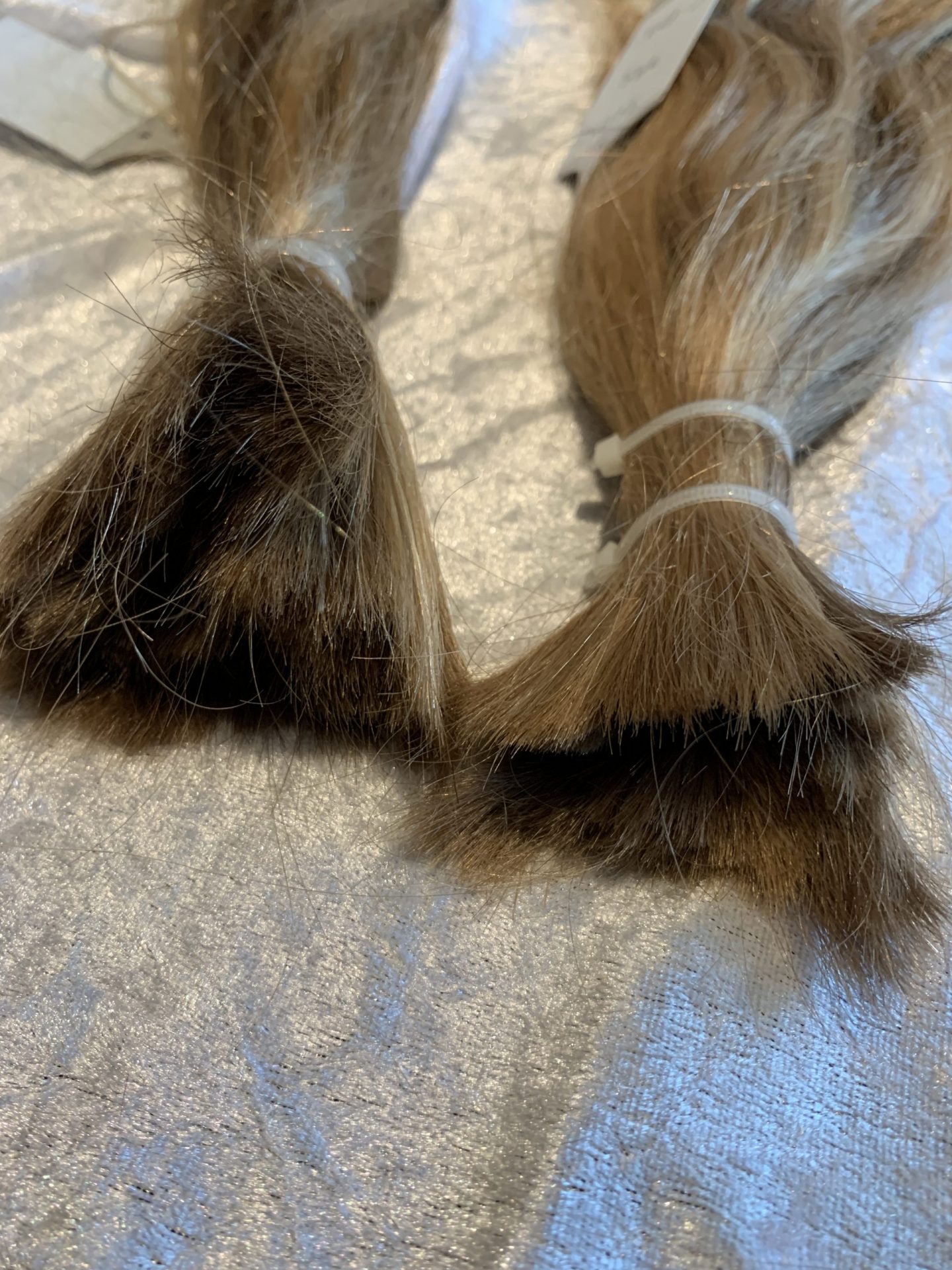 65C8BF74-D8D7-4BC9-A3B9-B875398FC02E