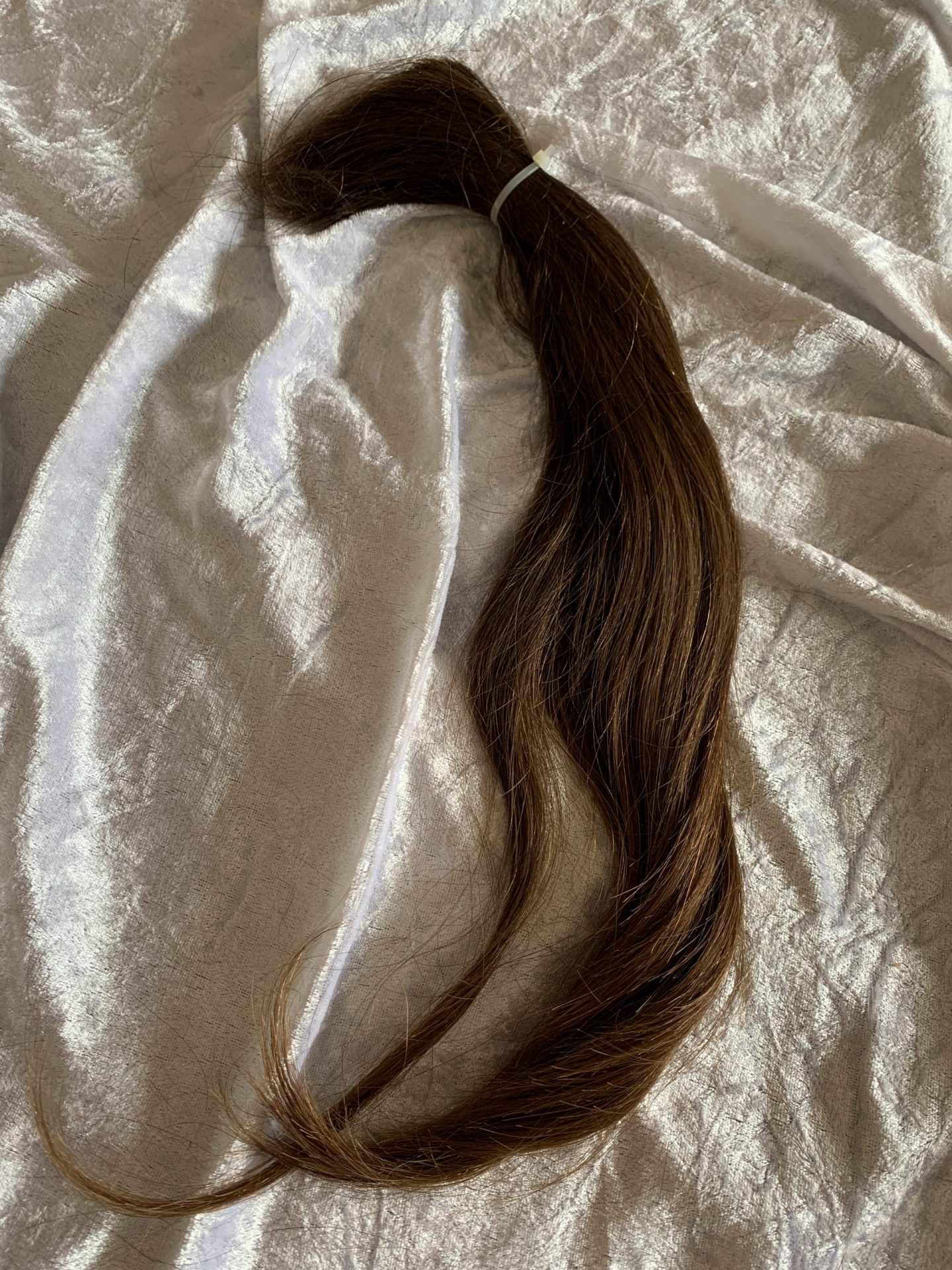 6D7D562D-FA81-4382-88D4-99C60B371584