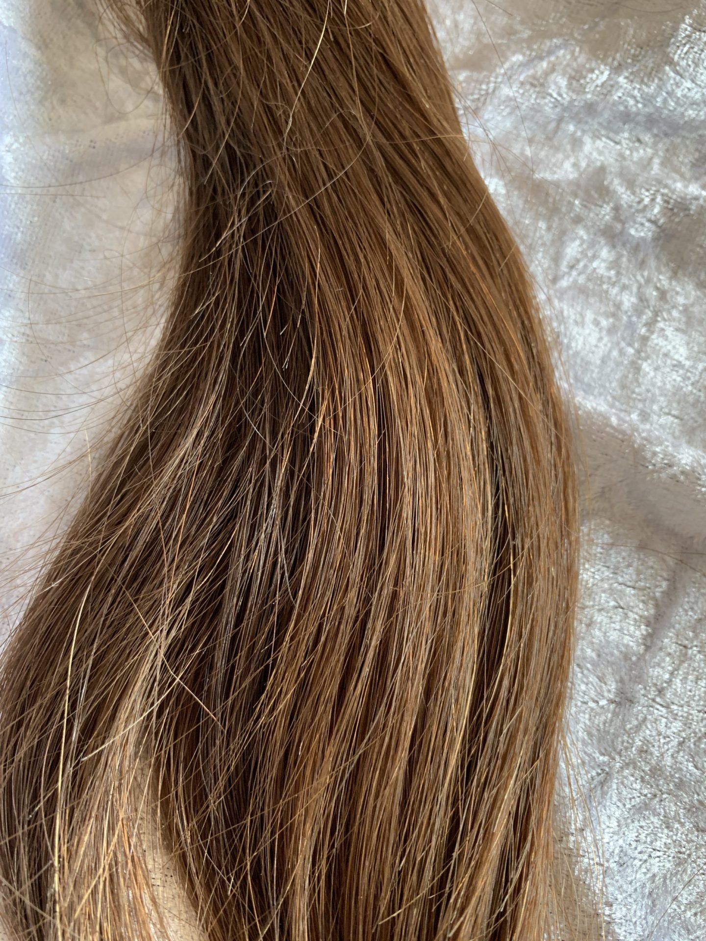 9E8C8D8F-76BF-4FE4-8898-B44A18583E57