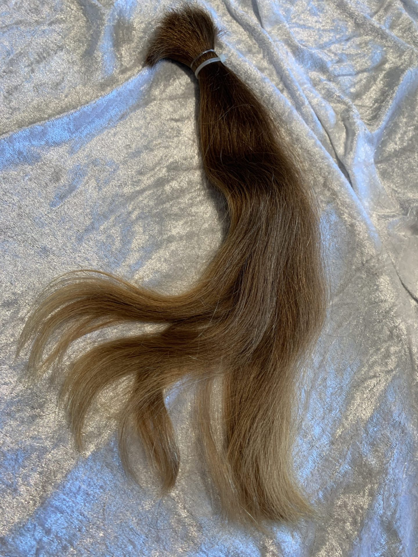 B3EE875A-6ABE-4471-8BC8-604FFBA09A29