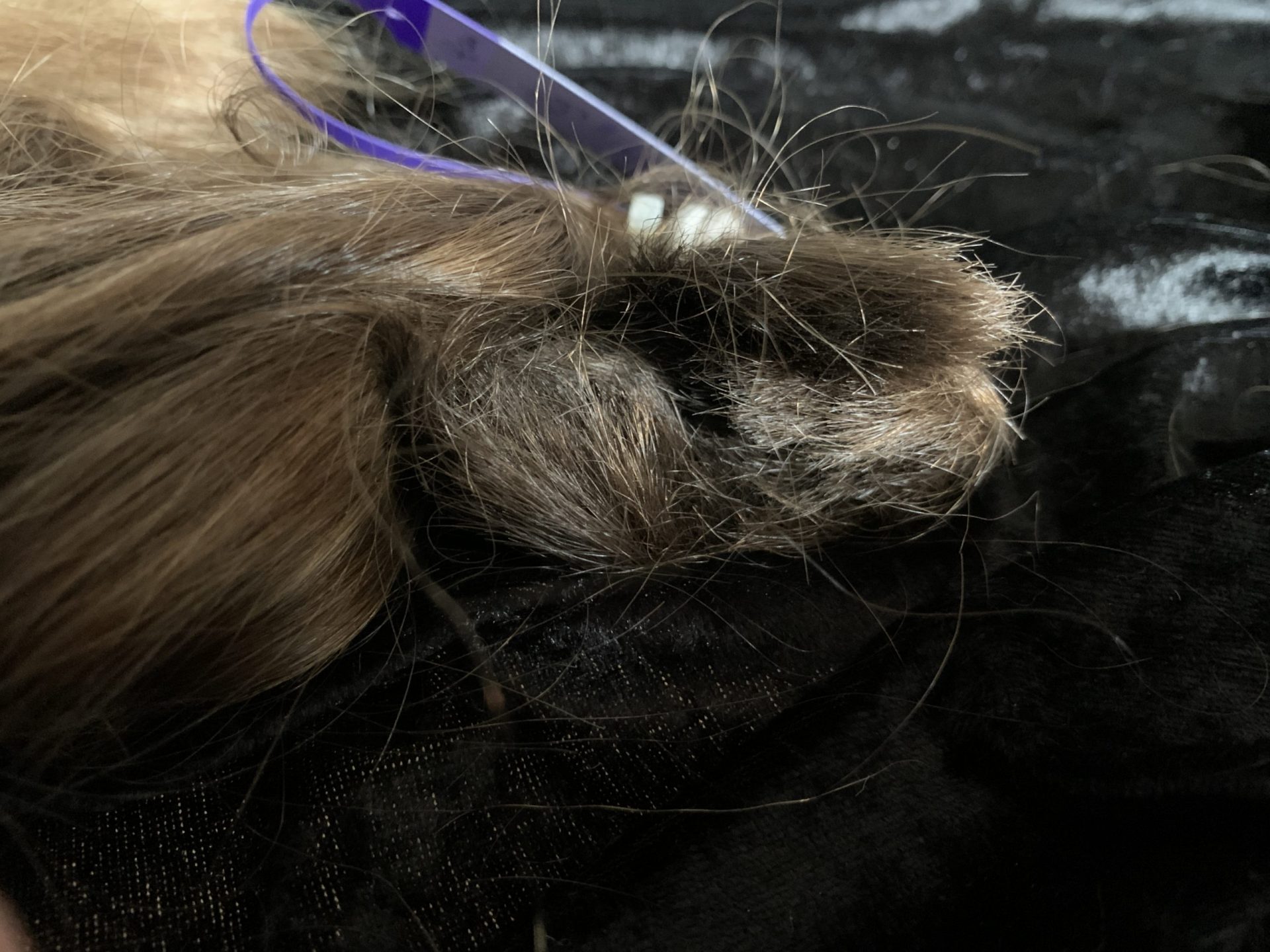 B90C0716-6522-43FD-AD66-115295BF9062