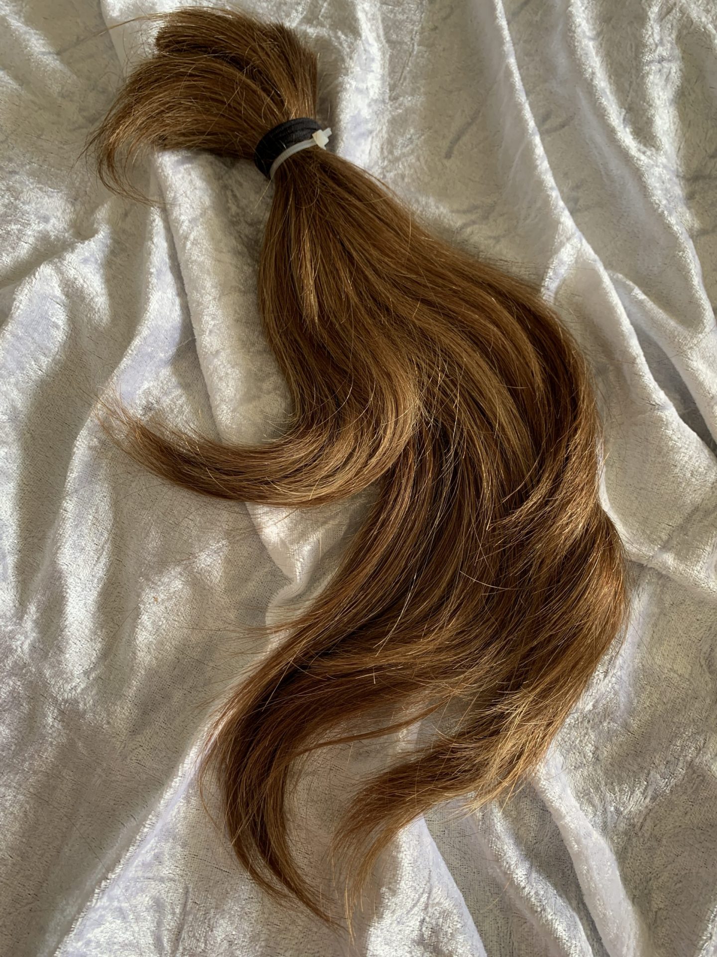 BCFA4D85-CD4E-4FED-96E0-BA638D14CFAC