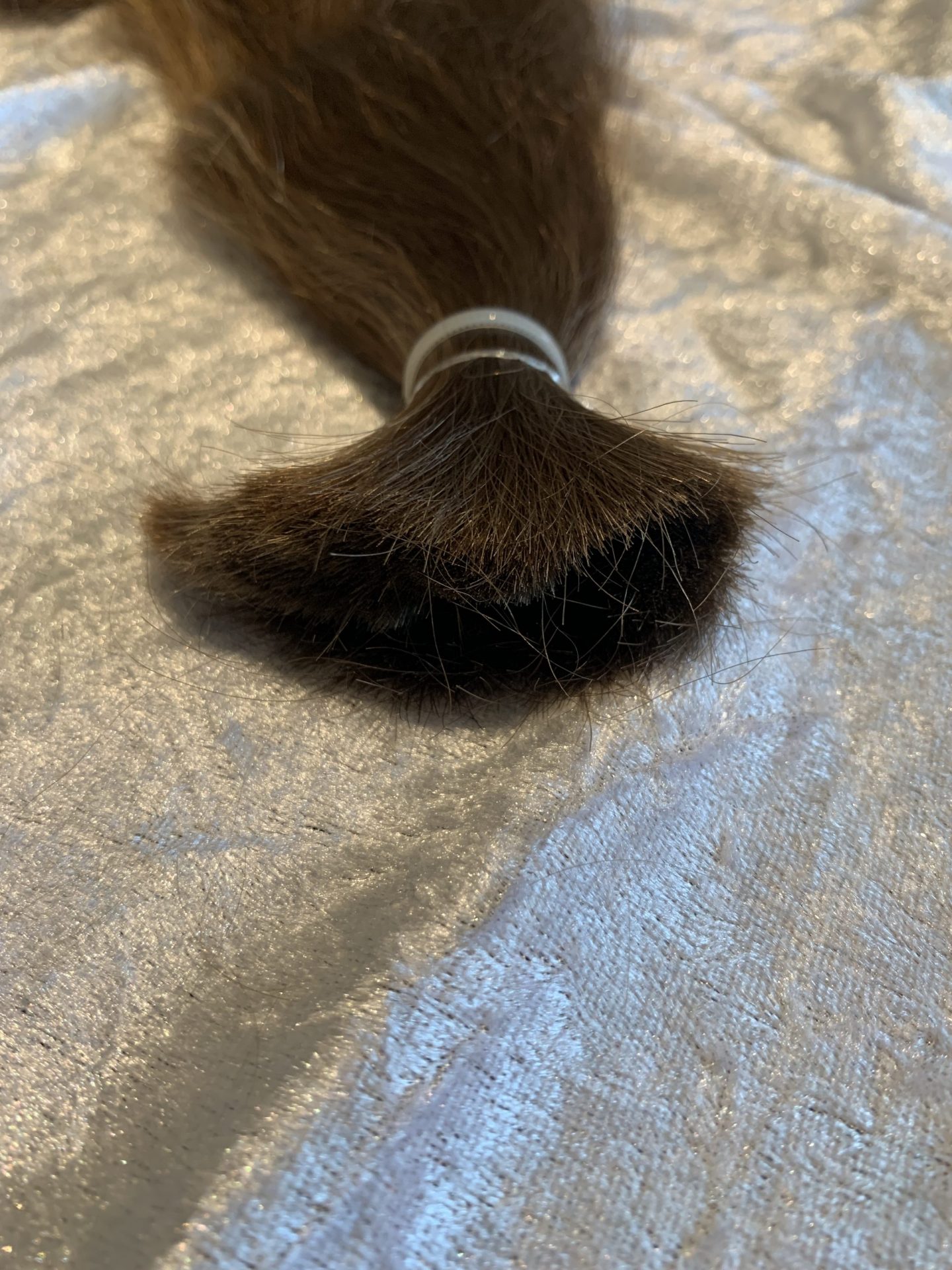 BE9E8349-93DA-4CE6-A263-F2B06B30D816