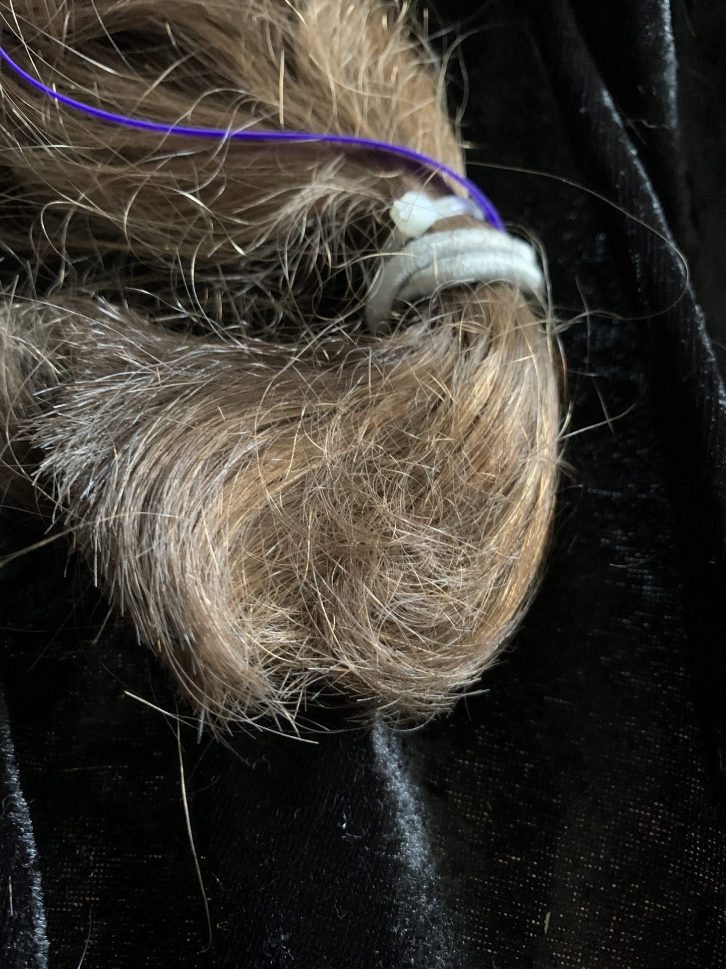 CD34D135-D58B-496B-B737-9AA38F72522B