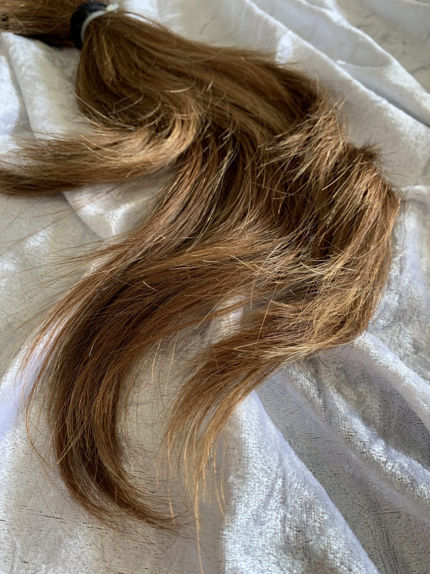 D2C2EFC4-242B-4E41-A3DD-1E822B721F67