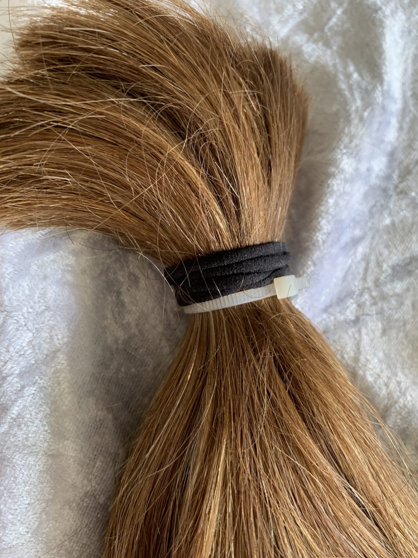 E1850C77-6515-436A-9D4B-995D37A90D9F