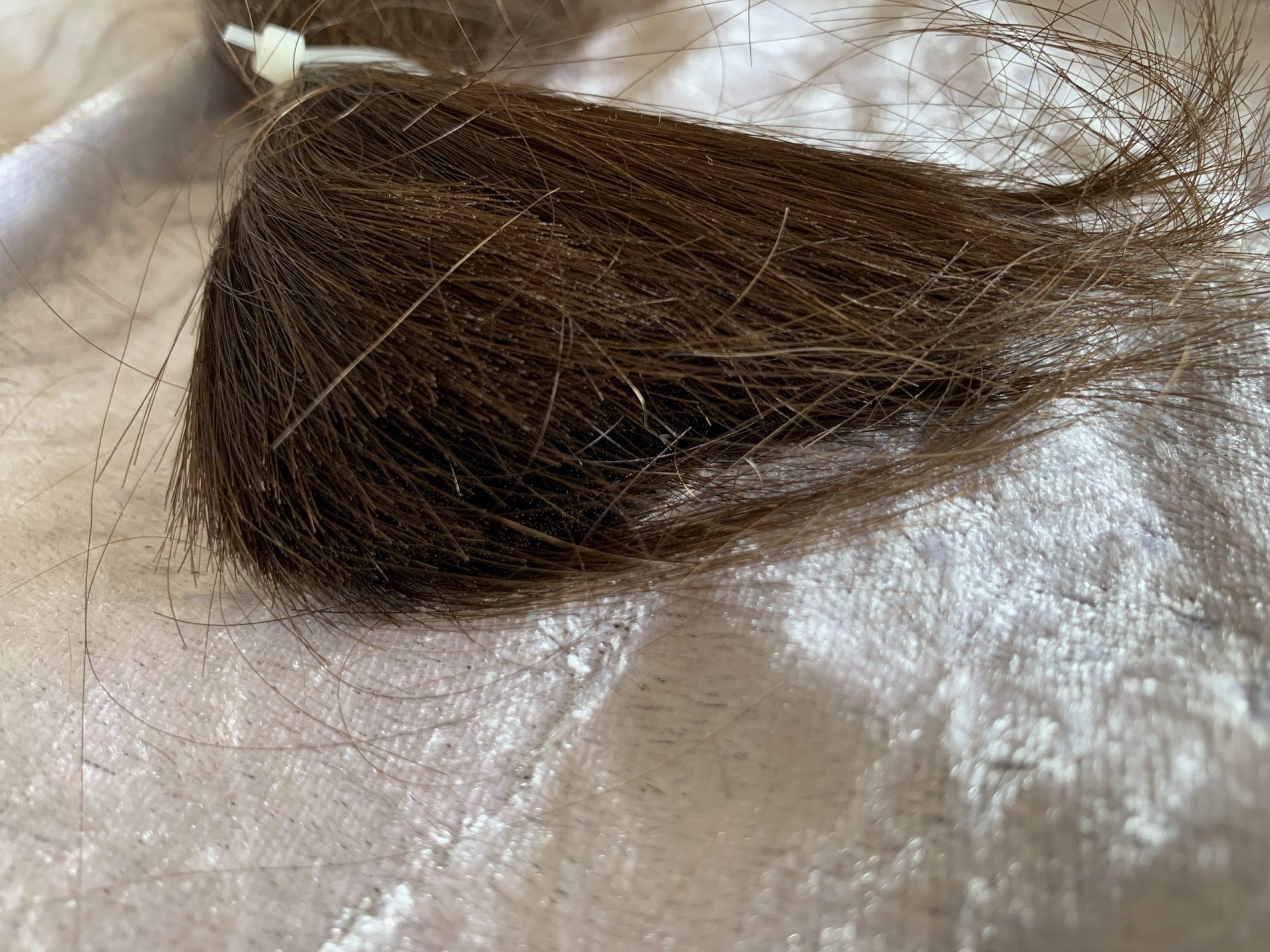 E6C5D53C-776F-4538-A89A-1F000CD5E80C