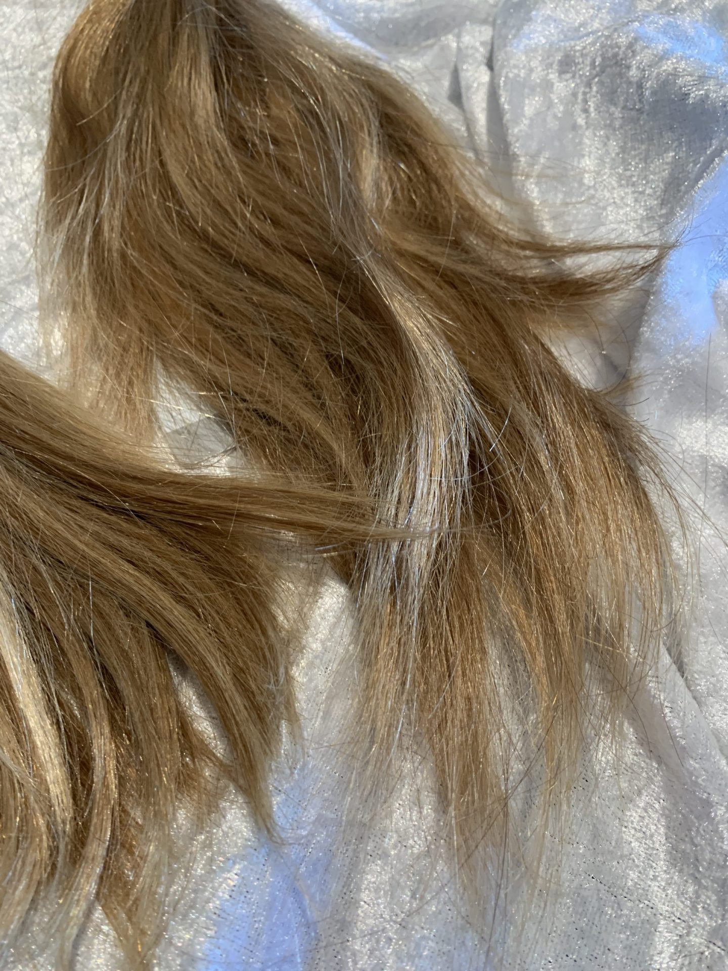 EEDFE8C0-70F2-463C-9096-61CE454E0A14